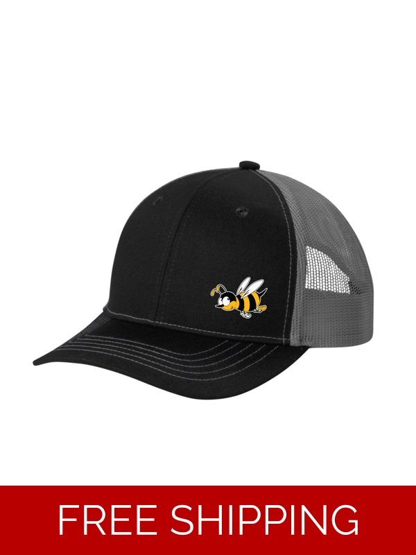 New Stingers Snapback Cap